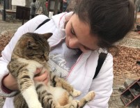 GALİP ÖZTÜRK - Öğrenciler Kedi Kasabası'nı Gezdi
