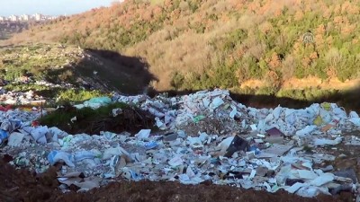 Çanakkale'de Çöplükte Köpek Leşleri Bulundu