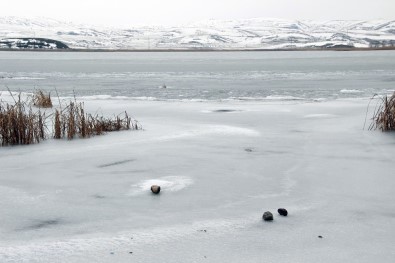 Hafik Gölü Dondu