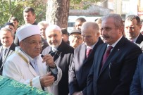 MAHMUT ŞAHIN - Şentop'un Acı Günü