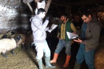 Tatvan'da Hayvan Ölümlerine Karşı Bilgilendirme Eğitimi