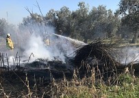 Burhaniye'de Ot Yangını