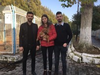 Doğum Günü Hediyesi Sokak Hayvanı Oldu