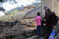 YÜRÜYÜŞ YOLU - Hayvanat Bahçesi Ziyaretçi Akınına Uğradı