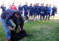 'Kötü Gidişat Sona Ersin Diye' Kurban Kestiler