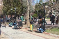 Kürtler De Zeytin Dalı Harekatı'na Katılmak İstiyor