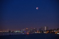 'Süper Kanlı Mavi Ay Tutulması' Los Angeles'da İzlendi