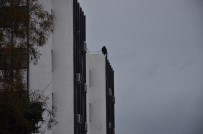 HAVA YASTIĞI - Belediye Binasında İntihar Girişimi