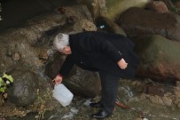 KENAN EVREN - Dere Yüzeyindeki Köpüklerden Numune Alındı