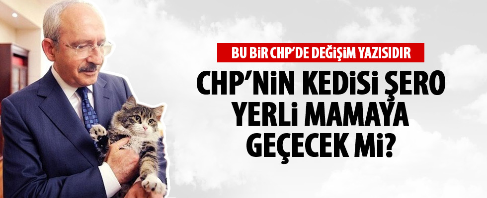 Engin Ardıç, CHP'yi fena ti'ye altı