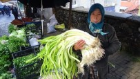 ORGANİK SEBZE - Meşhur Örenli Pırasası Tezgahlardaki Yerini Aldı