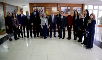 PELIN ÇIFT - Sivas Kent Konseyi 200 Kişilik Çalışma Grubu Oluşturdu.