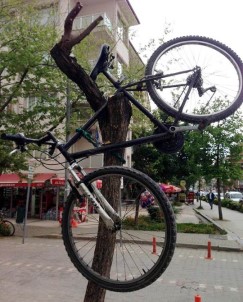 Bisikleti Ağaca Astı