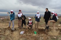 İZMIR ADLIYESI - Öğrenciler Şehit Fethi Sekin Anısına 'Çınar' Dikti