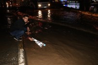 Suyun Altında Kendi Aracının Plakasını Ararken 12 Farklı Plaka Buldu