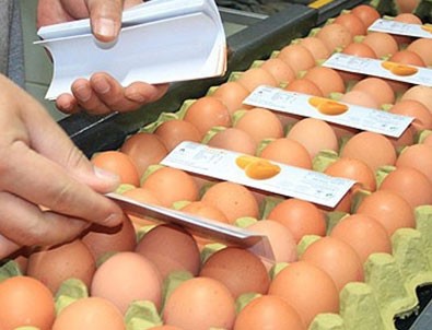 Yumurta ihracatı son 11 yılda 21 kat büyüdü
