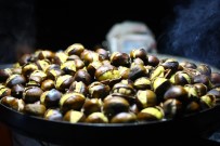 PÜF NOKTASı - Bir Kış Klasiği 'Kestane'