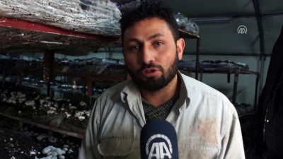 Hobi Olarak Başladılar Talebi Karşılayamıyorlar