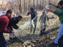 KATO DAĞı - Beytüşşebap'ta Eksi 5 Derecede Balık Avı