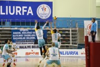Haliliye Voleybol Takımı, Galibiyet Serisini 6'Ya Çıkardı