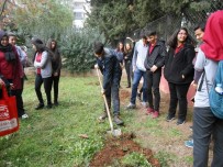 Muratpaşa'dan Okul Bahçelerini Ağaçlandırma Seferberliği