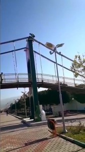 Köprüde tehlikeli oyun