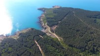 Sinop'ta Nükleer Santral Kurulacak Alan Havadan Görüntülendi