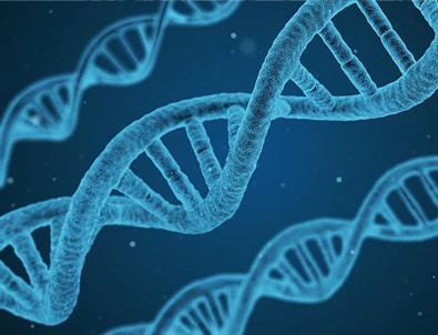 Türk bilim insanları neolitik dönemin DNA şifrelerini çözecek