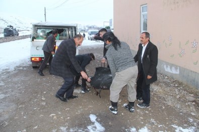 Türkiye'ye Yasadışı Yollarla Girdiği Tahmin Edilen 2 Kişi Donarak Öldü