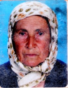 Zeytin Toplarken Sırra Kadem Basan Annesini 70 Gündür Arıyor
