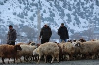 KESİM MERKEZİ - Akşarlılar Kapalı Hayvan Pazarı İstedi