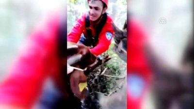 Balıkesir'de Keçi Kurtarma Operasyonu