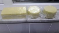 KAŞAR PEYNİR - Çine MYO'da Kaşar Peyniri Üretildi