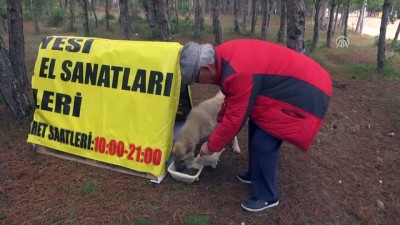 Sokak Köpeklerinin Dostu Gazete Patronu