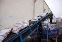 KÖMÜR YARDIMI - Tokat'ta 3 Bin 500 Aileye 1.5 Ton Kömür Yardımı