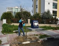 ERGUVAN - Yunusemre'de 1 Milyon Fidan Toprakla Buluşuyor