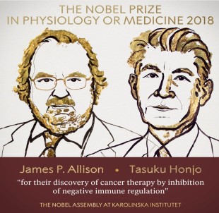Nobel Tıp Ödülü Kanser Tedavisi Araştırmalarına