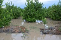 Ortaca'da Şiddetli Yağış Hayatı Olumsuz Etkiledi