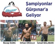 RECEP KARA - Şampiyon Başpehlivanlar Gürpınar'a Geliyor