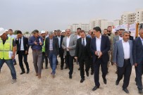 VİRANŞEHİR - Viranşehir'de Yeşil Alan Çalışmaları Sürüyor