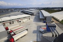 TOPTANCI HALİ - Büyükşehir Çağdaş Haller İnşa Ediyor