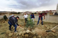 Çocuk Parkları Ağaçlandırılıyor