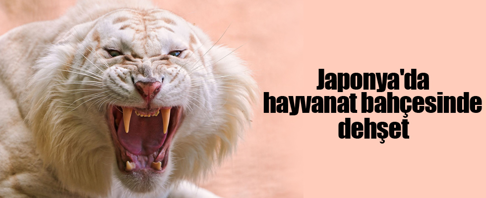 Japonya'da hayvanat bahçesinde dehşet