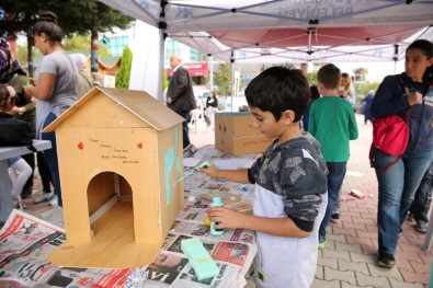Küçükçekmeceli Miniklerden Kedi Evi