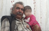 Mantar Toplamak İsterken Canından Oldu