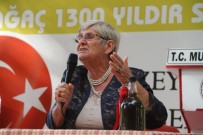 ZEYTİN AĞACI - Canan Karatay Açıklaması 'Zeytinyağı Kullanımı Artarsa Hastalık Kalmaz'