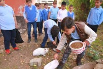 SOKAK HAYVANI - Cesur yürekli öğrenciler