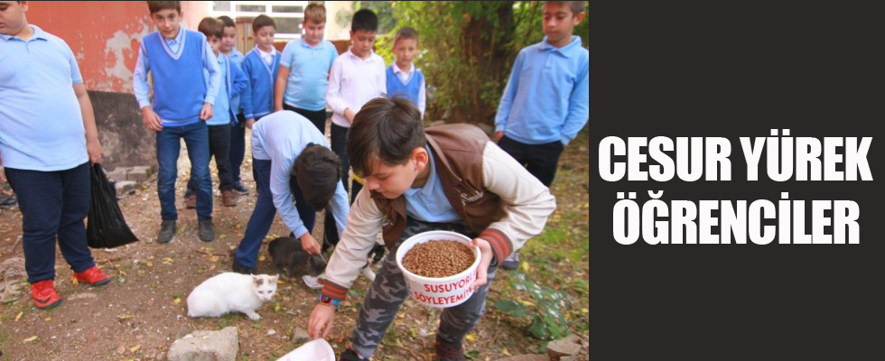 Cesur yürekli öğrenciler