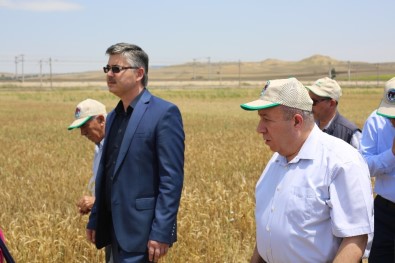 Eskişehir'de En Yeni Bitki Çeşitleri Çiftçilere Tanıtıldı