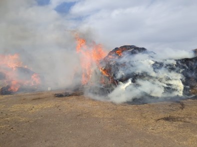 Kars'ta 150 Ton Ot Ve Saman Kül Oldu